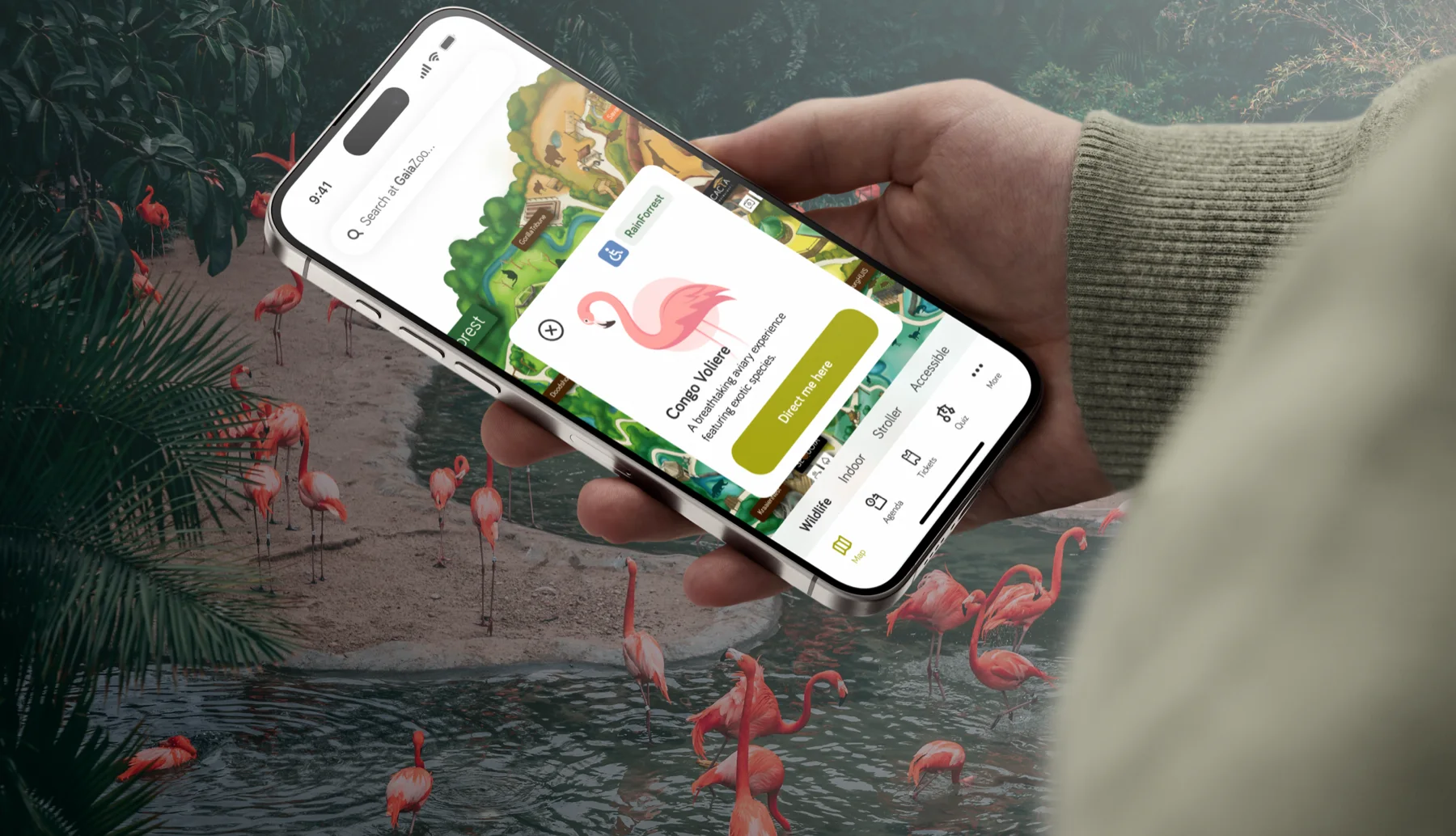 GaiaZOO — visitor app